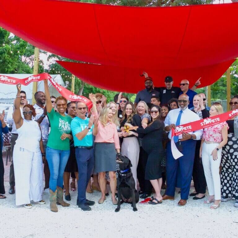 53780707150_b16769b0eb_4k Large